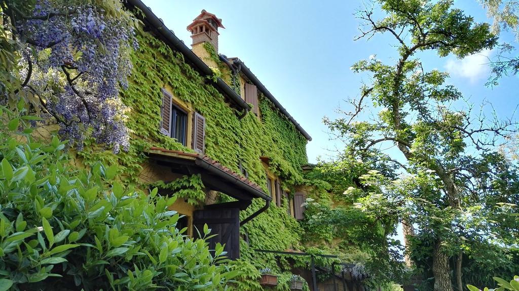 B&B Le Due Volpi 비키오 외부 사진